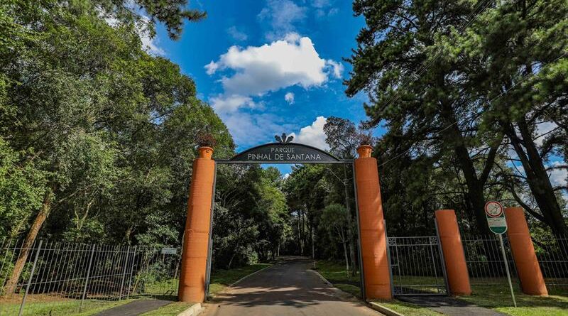 Parque Pinhal De Santana O Mais Novo De Curitiba Cai No Gosto Dos