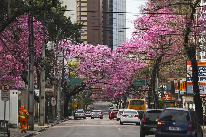 Prefeitura de Curitiba vai iniciar processo de cassação do alvará de